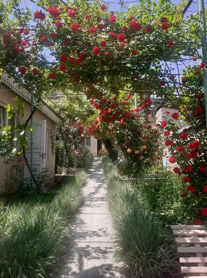 Emma'S Guesthouse In Borjomi Luaran gambar